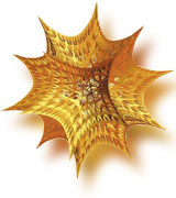 wolfram
